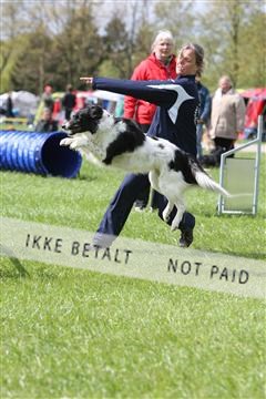134871_ms_04_IMG_0050.JPG