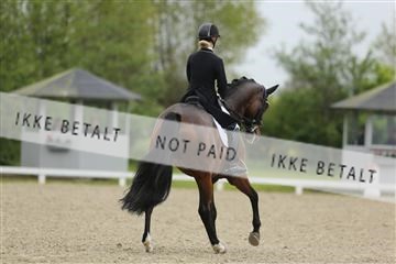 139835_sg_02_IMG_8444.JPG