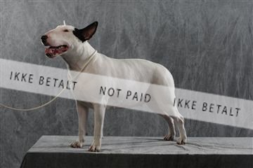 128239_le_kort_ 01_0255.JPG