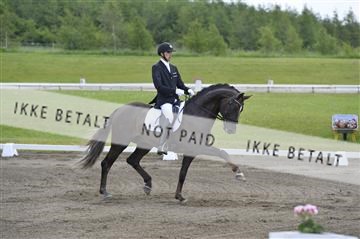 140040_abo_01__AB16124.JPG
