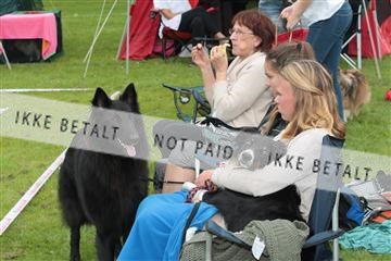 130370_tl_01_IMG_7029.JPG