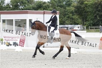 166078_rhj_01__J7R2290.JPG