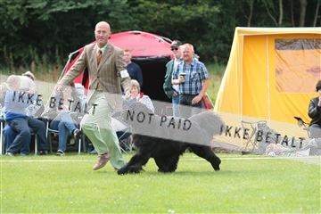 130370_tl_02_IMG_7721.JPG