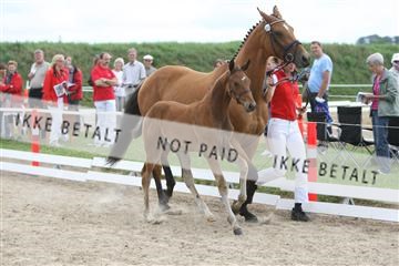 125406_sc_01_IMG_0686.jpg