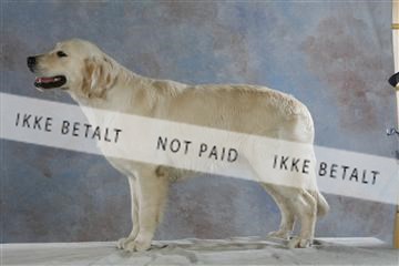 5493_sme _03__MG_9844.JPG