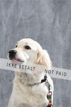 128239_le_ 06_0007.JPG