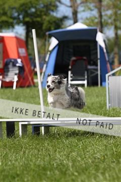 134871_ms_04_IMG_0079.JPG