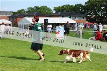 181564_rin_01_R62_0382.JPG