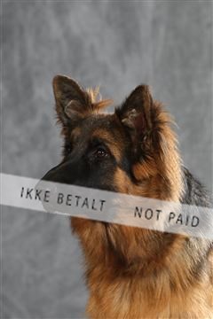 130054_le_ 01_0351.JPG