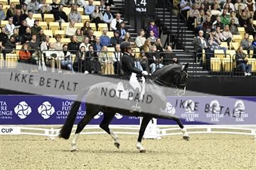 182194_kbb_03_Z092472.JPG