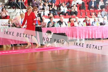 6068_ma_05_IMG_5513.JPG