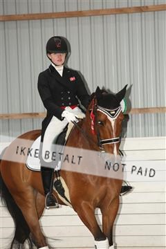 139835_sg_03_IMG_9532.JPG