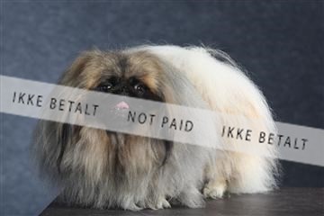 132082_le_ 01_IMG_1561.JPG