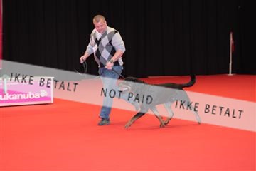 126827_tl_04_IMG_9937.JPG