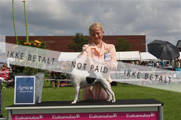 130370_le_02_IMG_8511.JPG