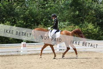 156196_nn_01_IMG_6198.JPG
