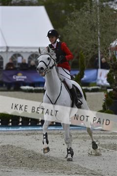 139644_abo_08__AB15986.JPG