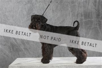 130054_le_ 03_0269.JPG