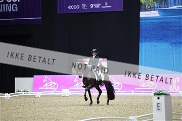 182194_mlm_02_R62_1058.JPG