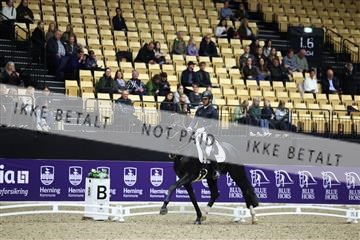 182194_mlm_01_R62_0087.JPG