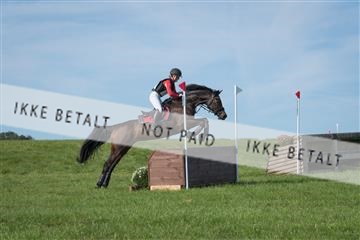 2019 Copenhagen Eventing Liva K. Julegaard Utopia Love 163761_KNF_01_KEE_018.jpg