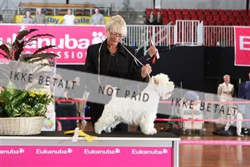6068_ma_07_IMG_6954.JPG