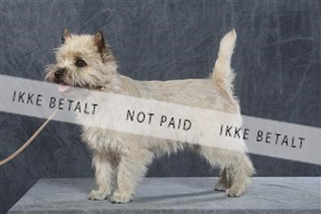 130054_le_ 03_0096.JPG