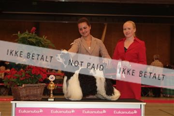 124188 _tl_02_IMG_9215.JPG