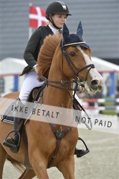 139644_bc_01__BC18712.JPG