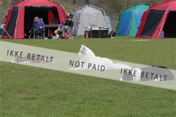 124188 _tl_02_IMG_9452.JPG