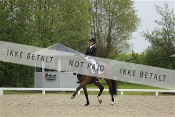139835_sg_02_IMG_8456.JPG