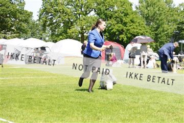 181564_kar_01__62_7484.JPG