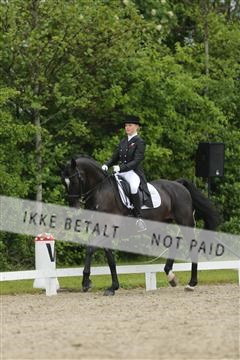139835_sg_03_IMG_9132.JPG