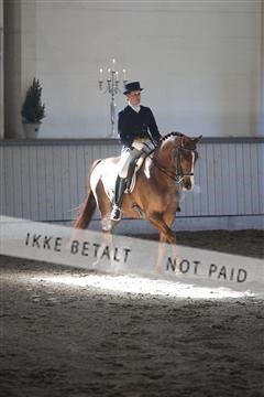 139267_kl_1_8M1Q6488.JPG