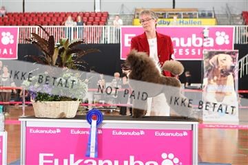 6068_ma_07_IMG_7122.JPG