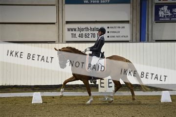 140040_abo_01__AB18221.JPG