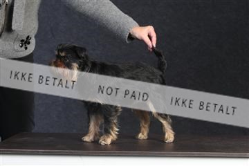 132082_le_ 01_IMG_0041.JPG