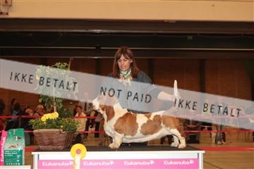 124188 _tl_02_IMG_9629.JPG