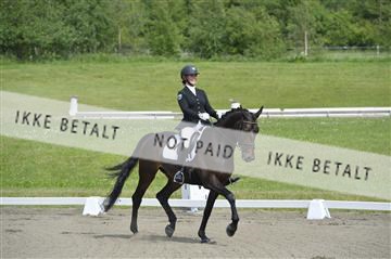 140040_abo_01__AB16837.JPG