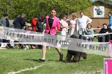134871_ms_04_IMG_0334.JPG