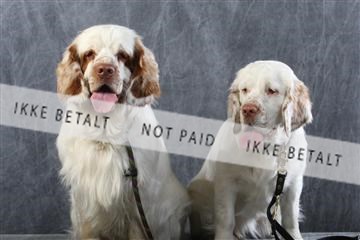 129608_le_ 01_0740.JPG