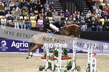 182194_kbb_02_Z099458.JPG