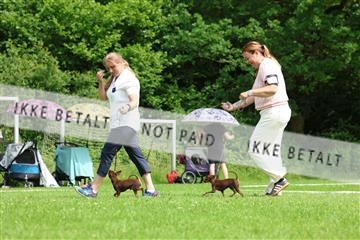 181564_rin_02_R62_1683.JPG