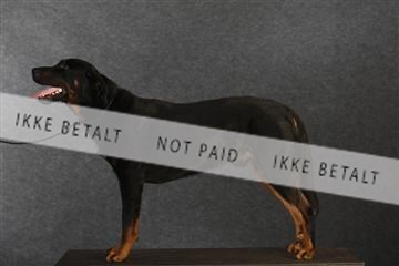 132082_le_ 01_IMG_0801.JPG