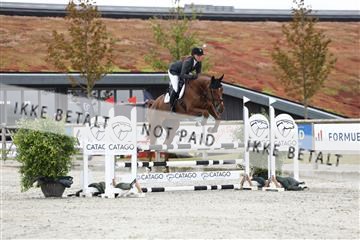 181922_avh_02_1392.JPG