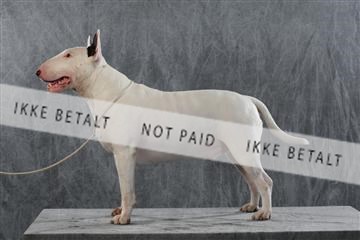 128239_le_kort_ 01_0279.JPG