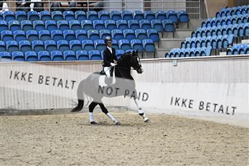 182241_kbb_01_Z095116.JPG