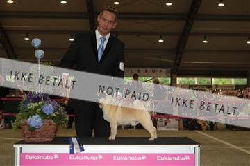 126168_se_01_IMG_0286.JPG