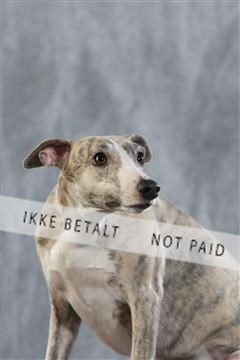 128239_le_kort_ 02_0020.JPG