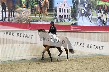 182241_kbb_01_Z095293.JPG